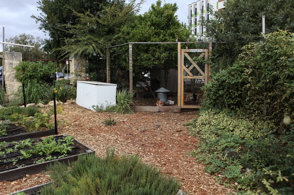 Poulailler de jardin