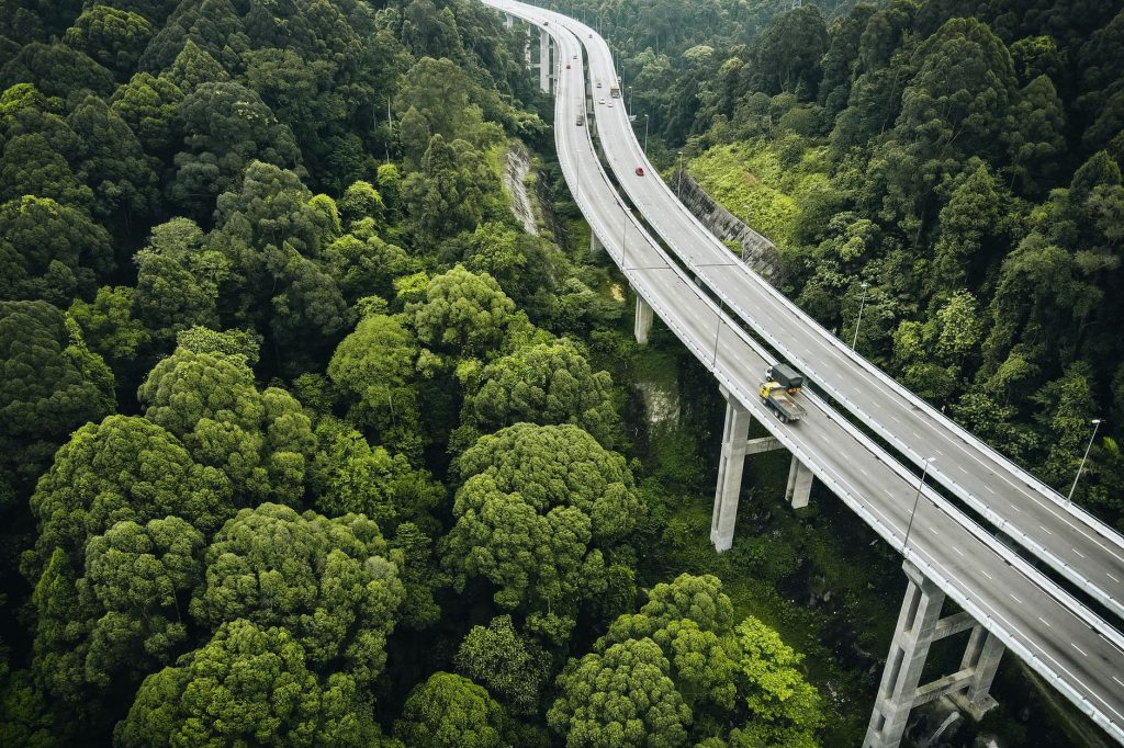 Une route traverse le paysage et fragmente les habitats naturels de la faune sauvage.