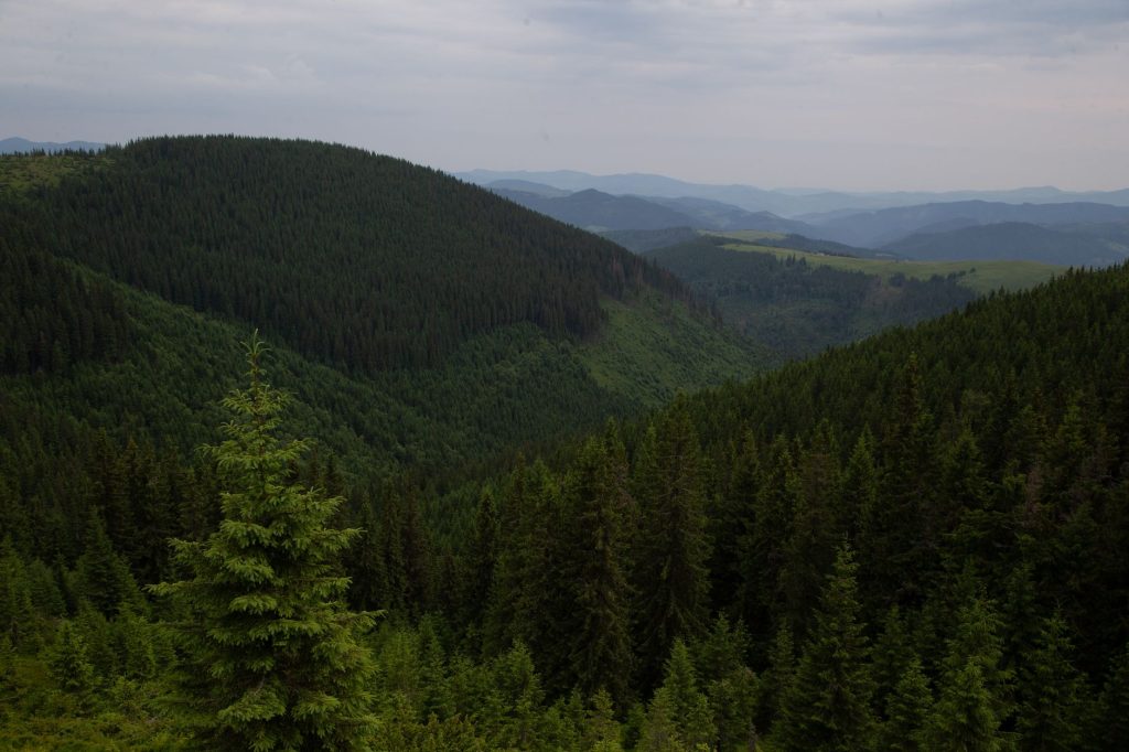 Les corridors écologiques : relier les habitats naturels
