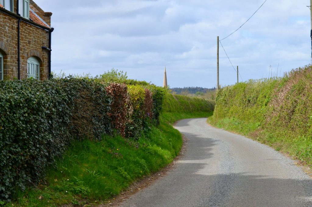 Une haie champêtre borde un chemin rural : véritable corridor végétal pour la petite faune.
