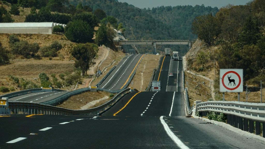 Route de campagne bordée de végétation avec un panneau de signalisation annonçant un passage d'animaux sauvages
