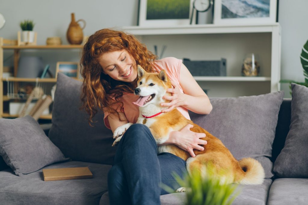 Proprietaire faisant un calin a son chien dans son salon