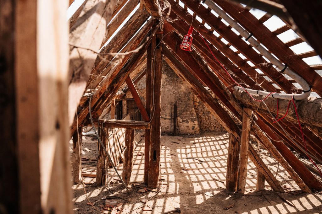 Charpente et combles en bois, gîte typique choisi par une fouine