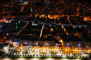 Pollution lumineuse : comment la nuit artificielle bouleverse la faune