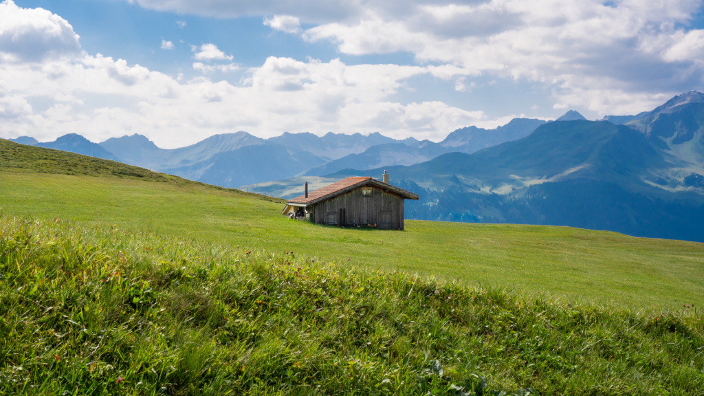 Alpage de montagne au printemps avec des plaques de neige, habitat typique de la marmotte des Alpes