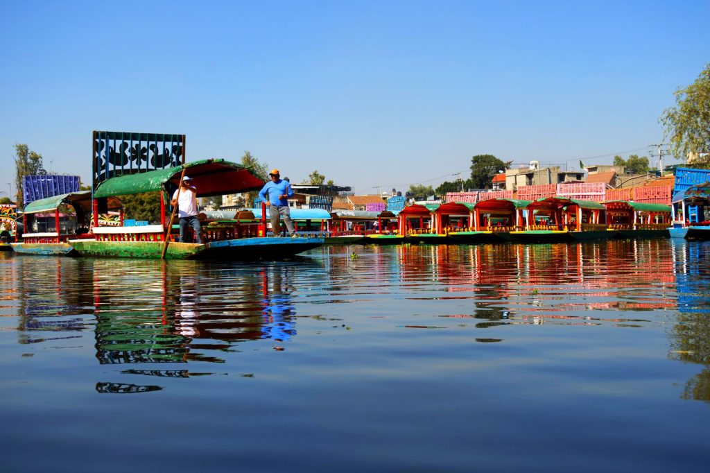 Canaux de Xochimilco à Mexico, dernier habitat naturel de l'axolotl