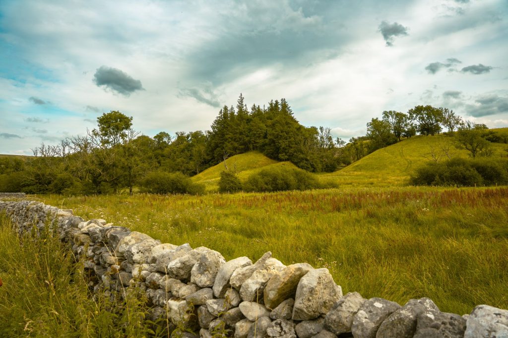 Mur de pierres sèches et prairie vallonnée, habitat typique de la vipère aspic
