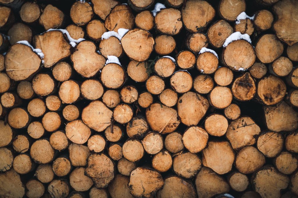 Tas de bûches et de bois empilé dans un jardin