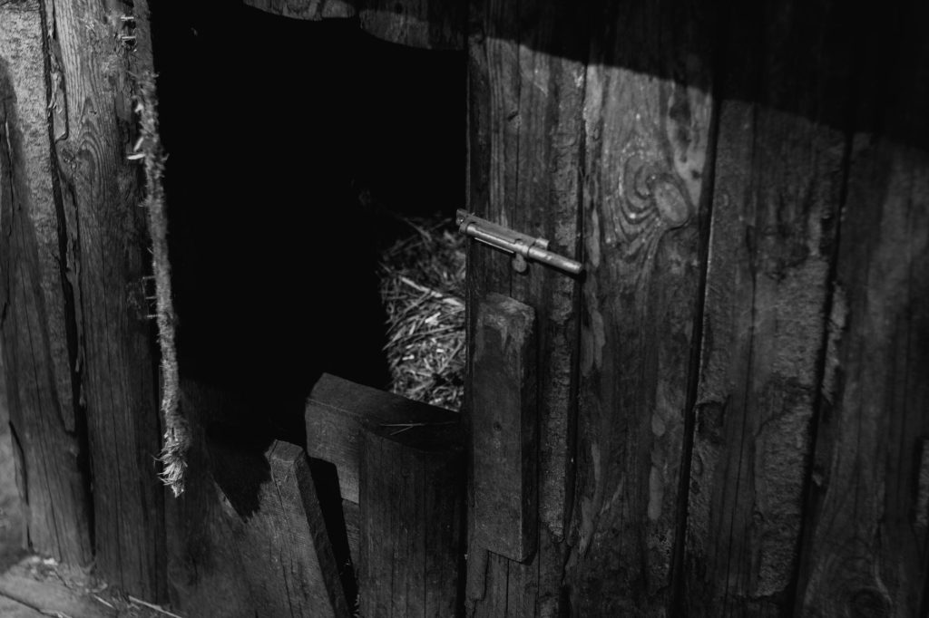 Intérieur d'un poulailler en bois avec perchoirs et litière